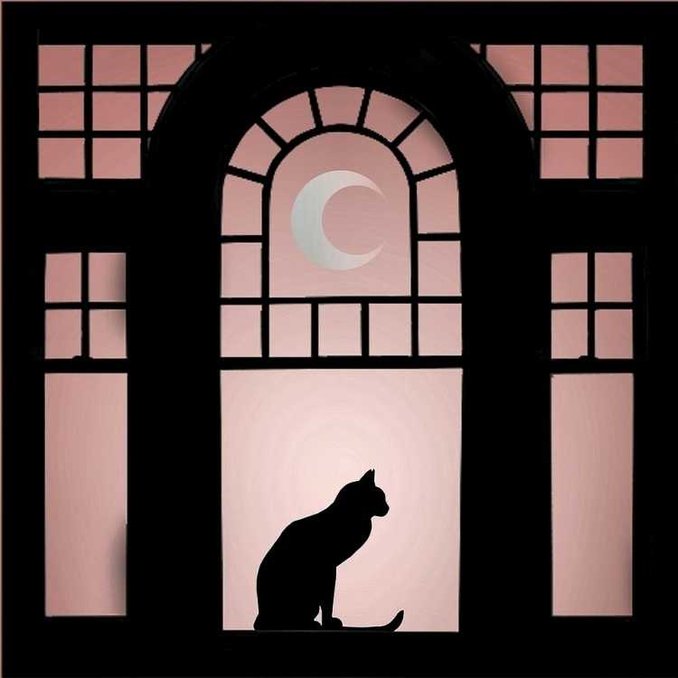 Силуэт из окна
