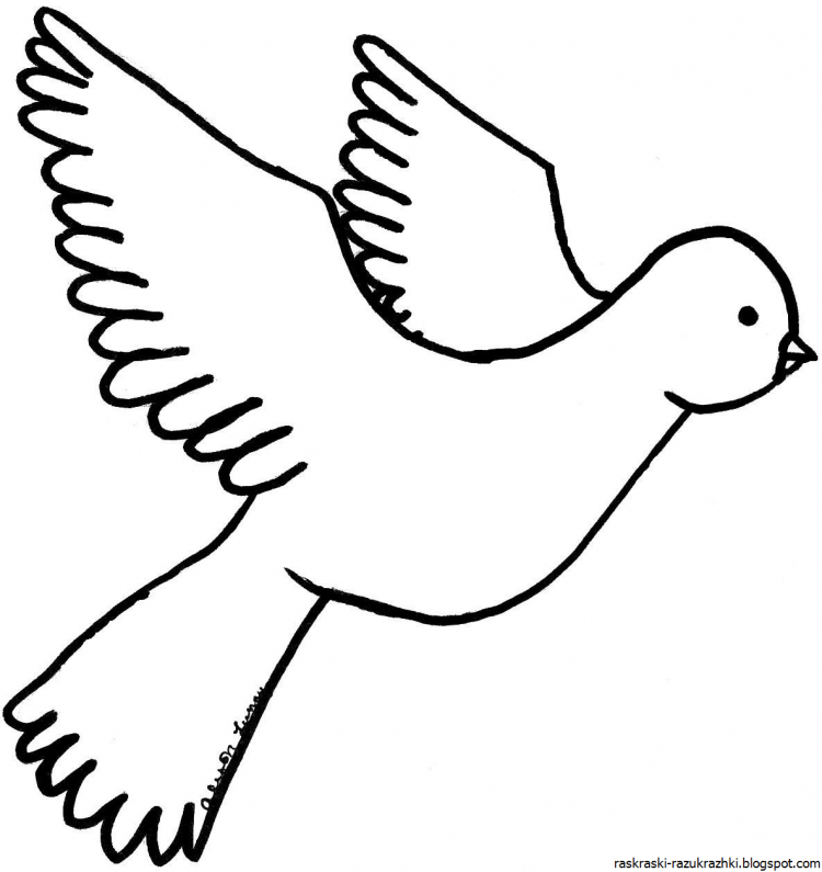 Голубь мира раскраска