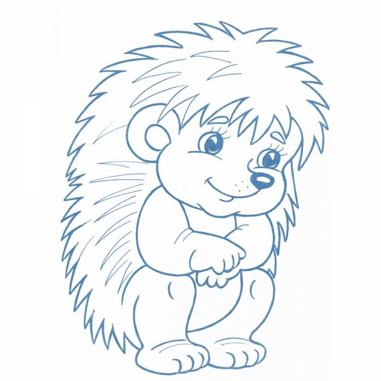 Ежик с грибами раскраска