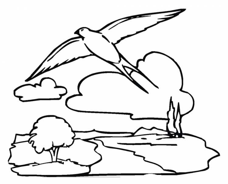 Стриж раскраска