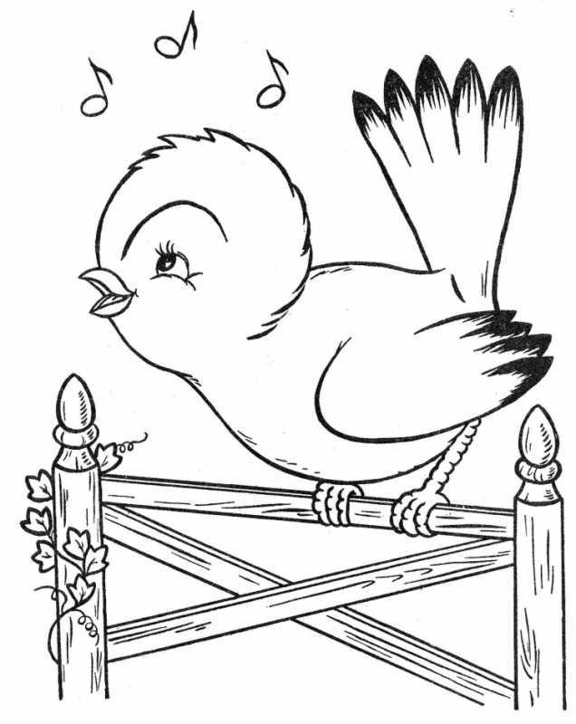 Заходер Птичья школа раскраска