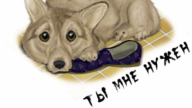 Бездомная собака живопись