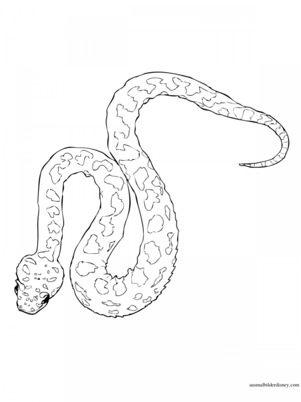 Поэтапное рисование змеи для детей