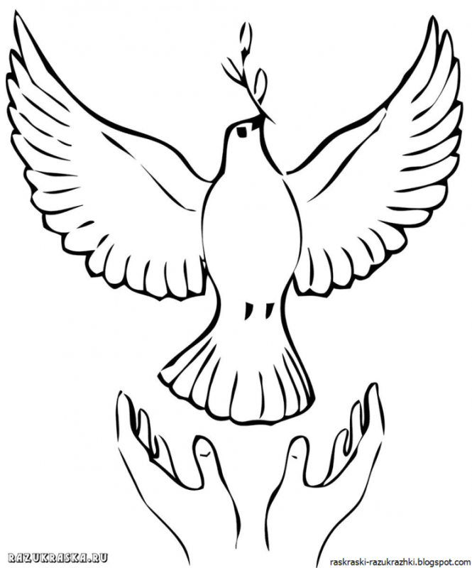 Голубь с веткой контур