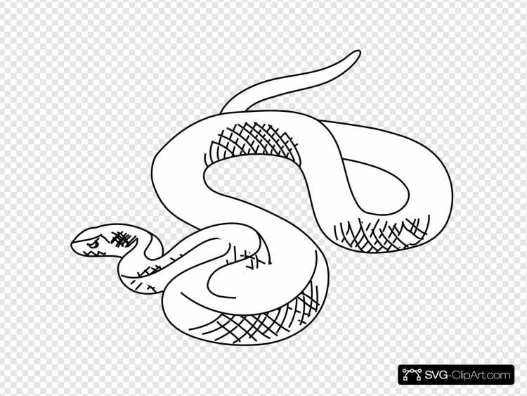 Раскраска змеи и ящерицы