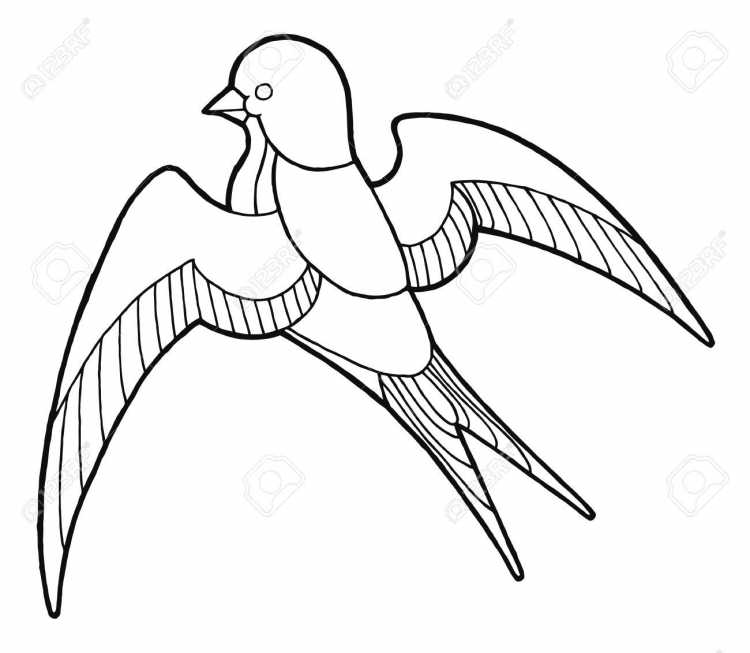 Схема рисования птиц