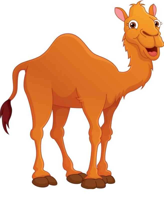 Верблюд пустыня cartoon