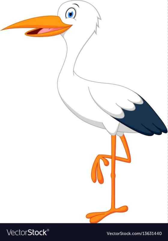 Аист с малышом