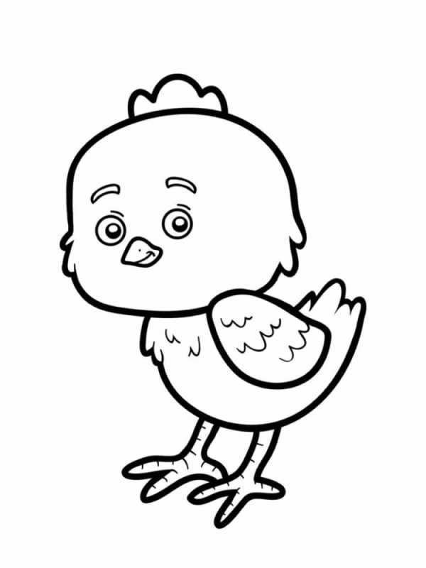 Раскраска цыплятки