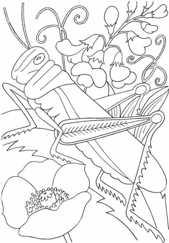 Раскраска Пчелка на цветке