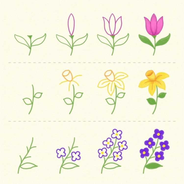 Поэтапное рисование фиалки в горшке