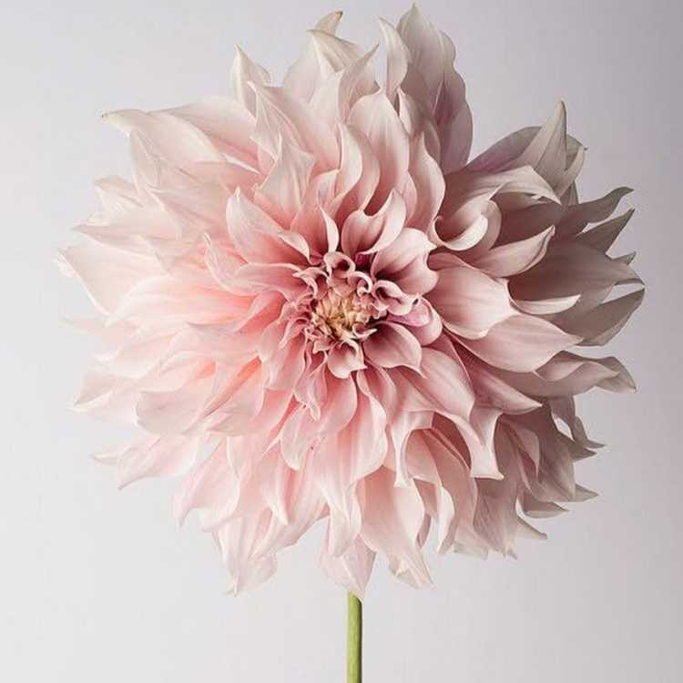 Пейзажи для рисования