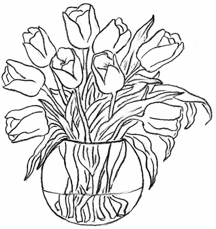 Лилия саранка раскраска