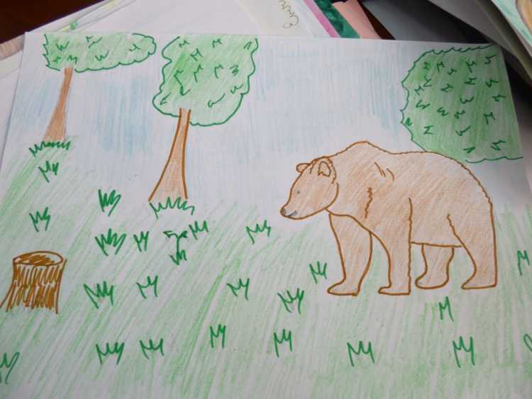 Рисунок в мире животных конкурс