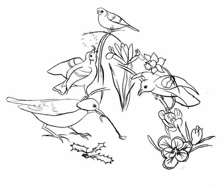 Лето раскраска для детей