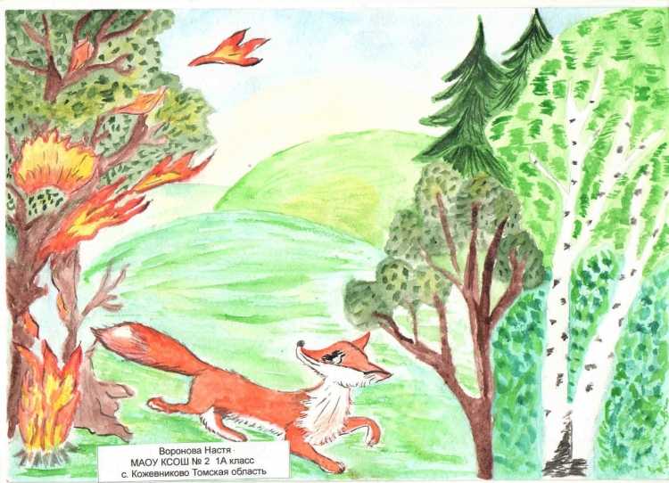 Лес боится огня рисунки конкурс