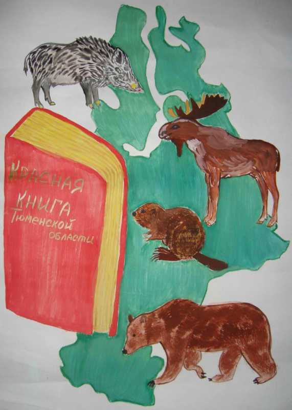 Иллюстрации краснокнижных растений и животных