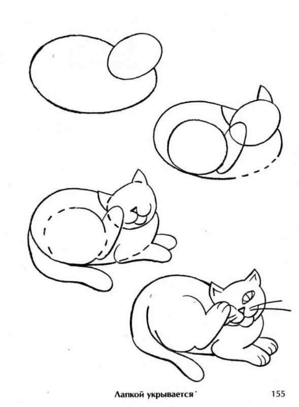 Рисунки котиков для раскрашивания