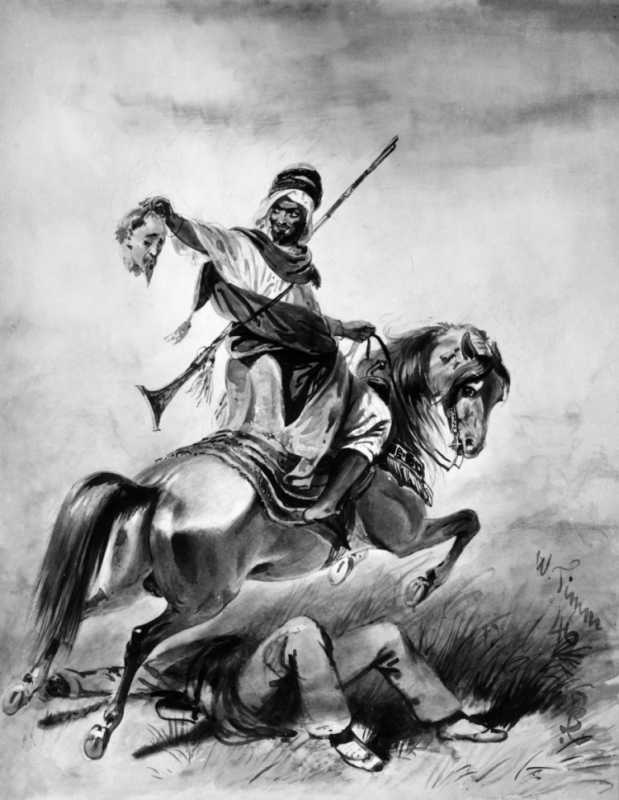 Василий Тимм Кавказ