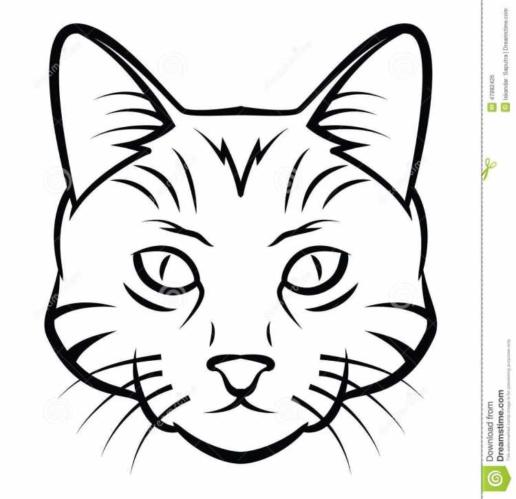 Контур кошачьей морды