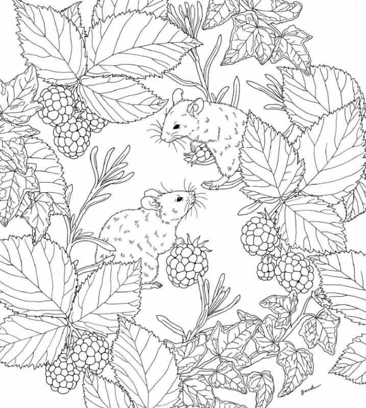 Декоративный пейзаж раскраска