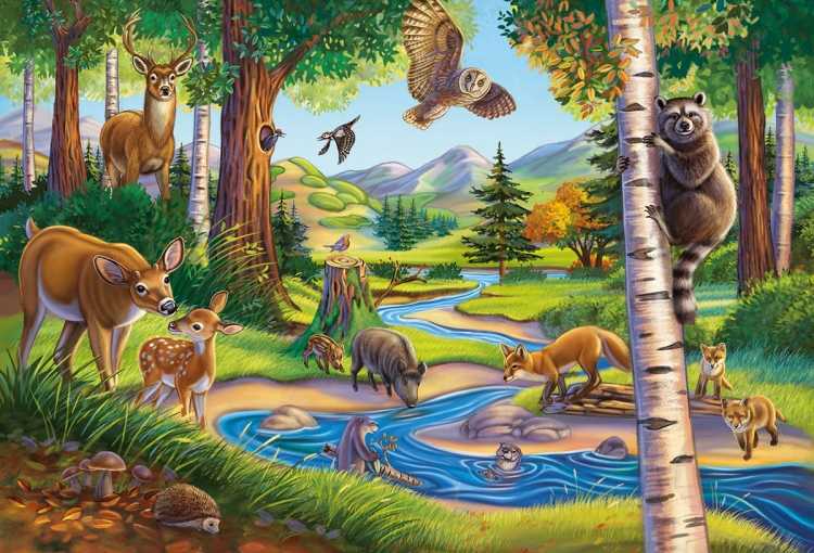 Звери в лесу