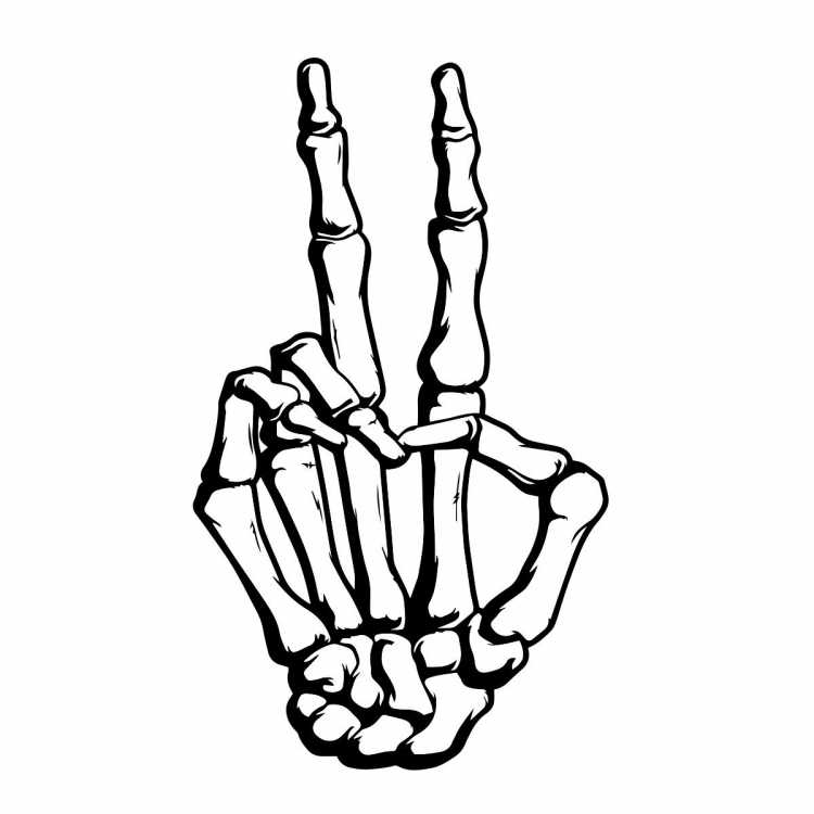 Скелет руки