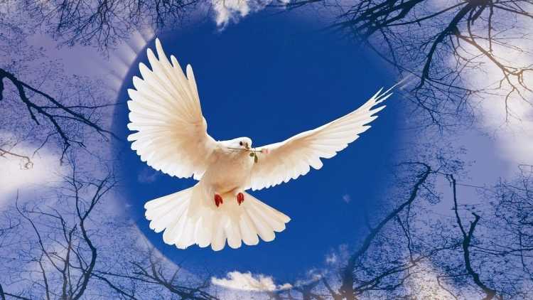 Конкурс детского рисунка мирное небо