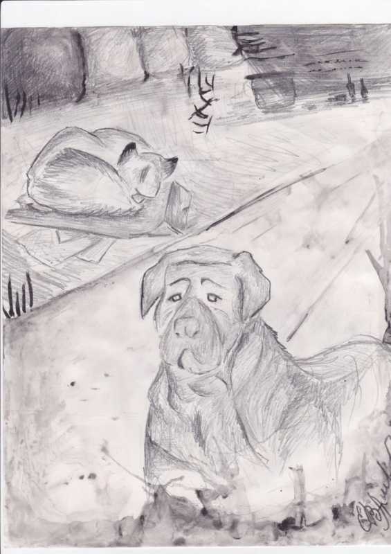 Рисунок на тему бездомные животные