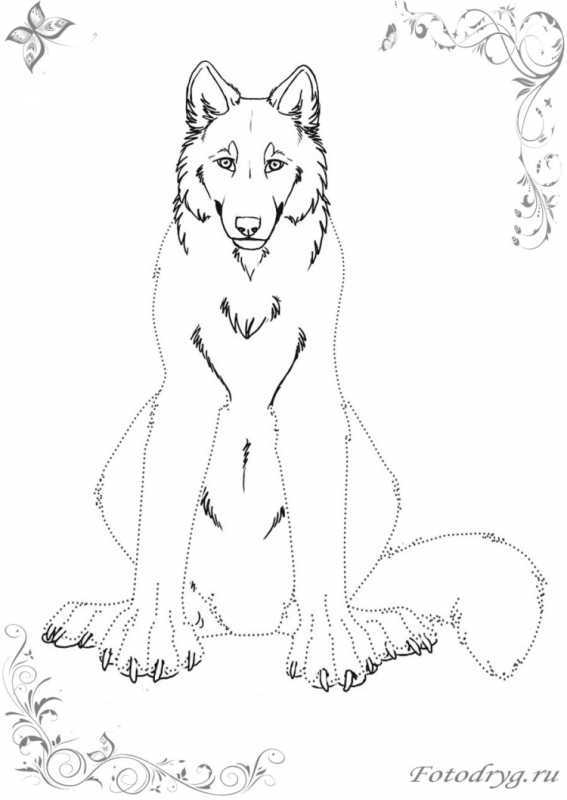 Волк рисунок