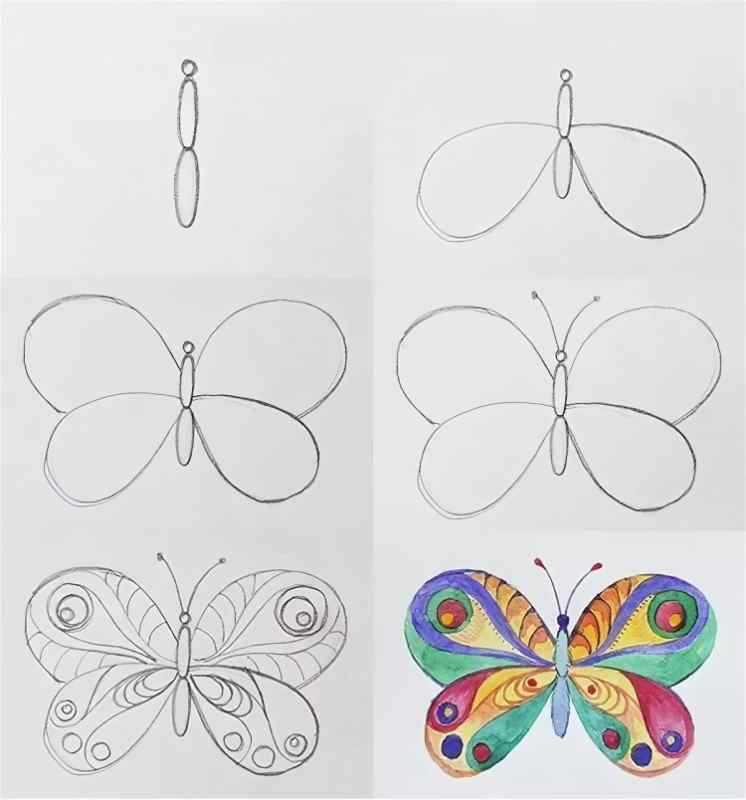 Рисование бабочки поэтапно