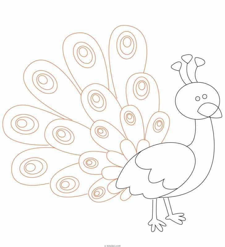 Павлин для раскрашивания детям