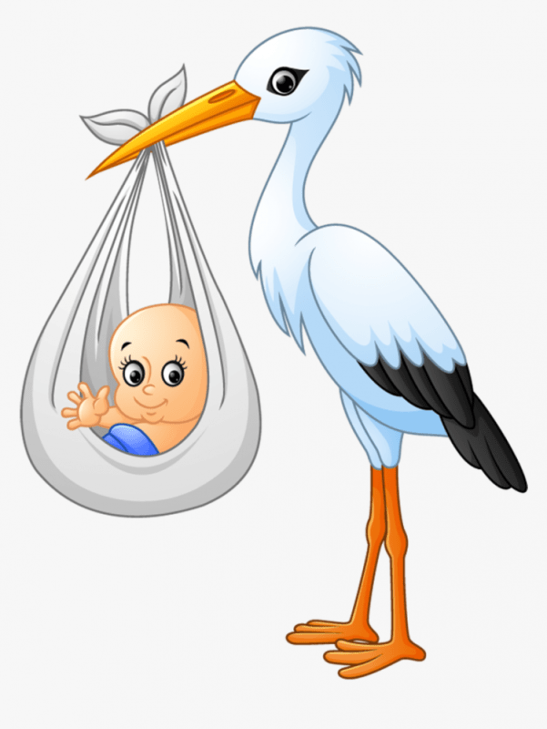 Черный Аист для детей