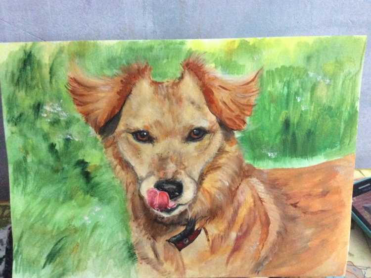 Рисунок человек и собака сидят рядом и мечтают