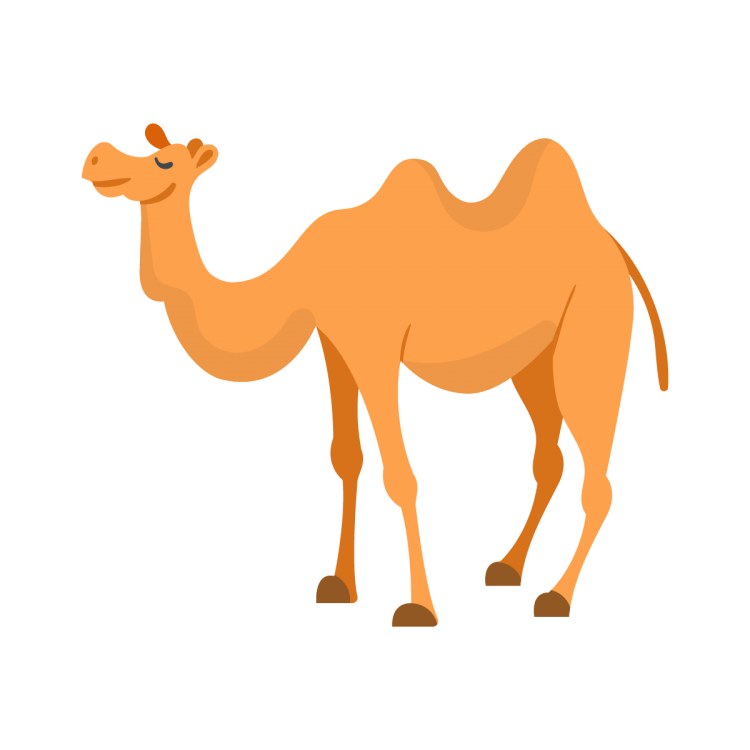 Изображение верблюда для детей