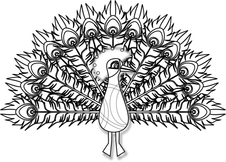 Взрослый рисунок павлина