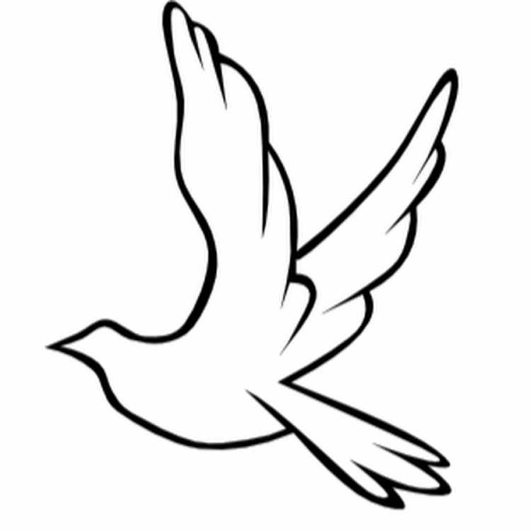 Голубь раскраска