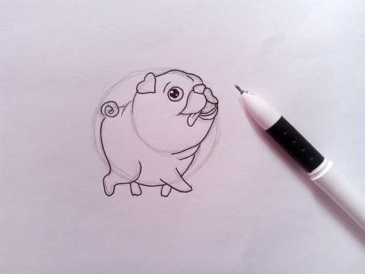 Рисунки для срисовки