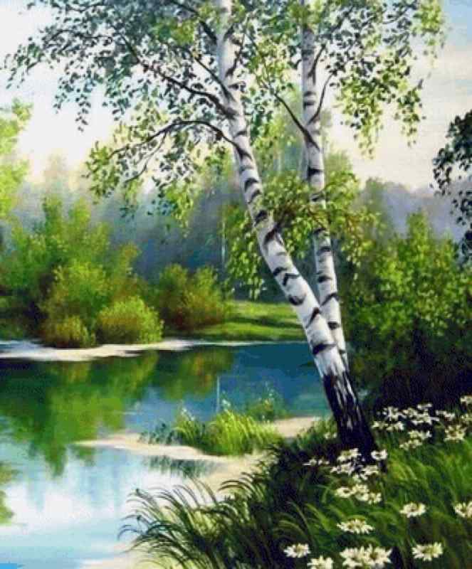 Красивая береза