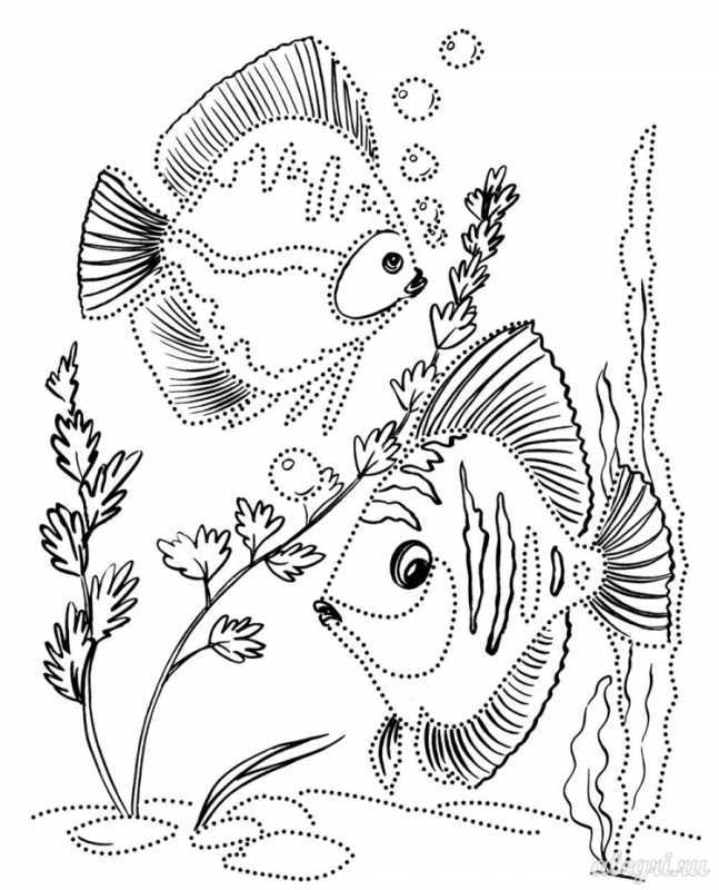 Аквариумные рыбки раскраска