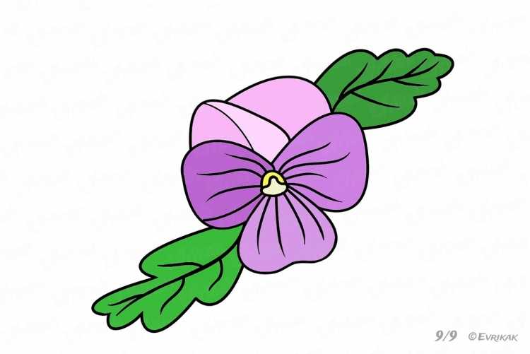 Ромашка раскраска