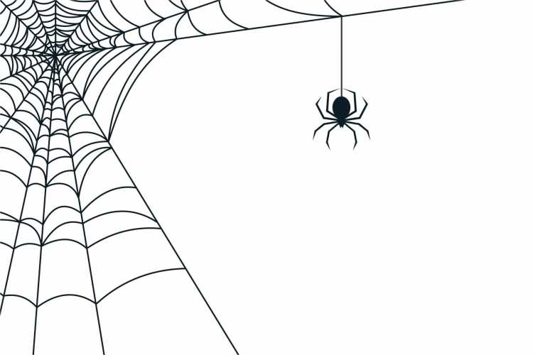 Разукрашки Супергерои человек-паук