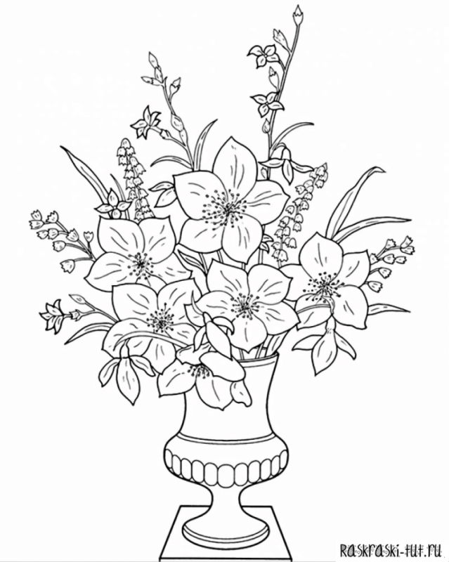 Раскраска роза цветок