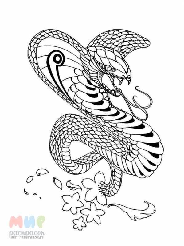 Змея щитомордник раскраска