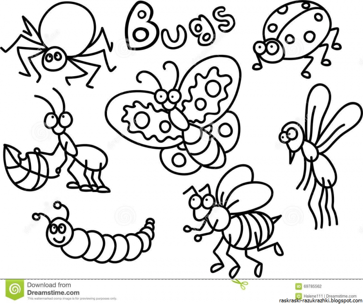 Бабочка раскраска для детей