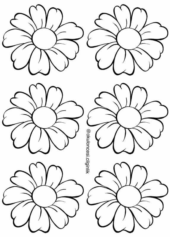 Раскраски для малышей. Ромашка