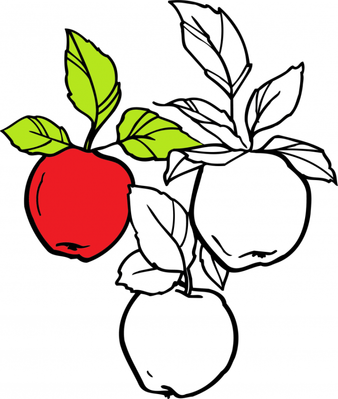Раскраска яблоко для детей 3-4