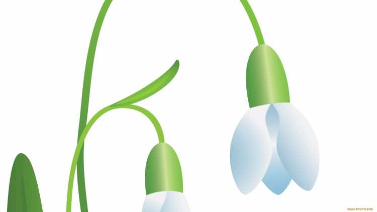 Конкурс весенний первоцвет