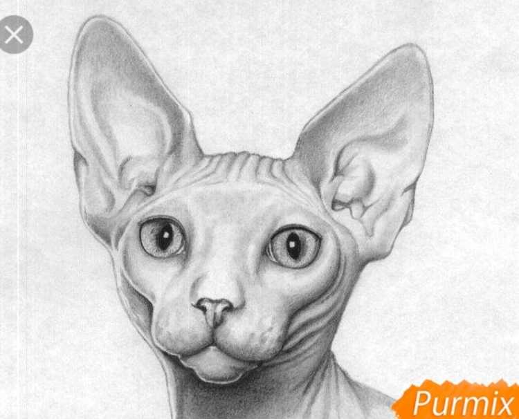 Сфинкс карандашом