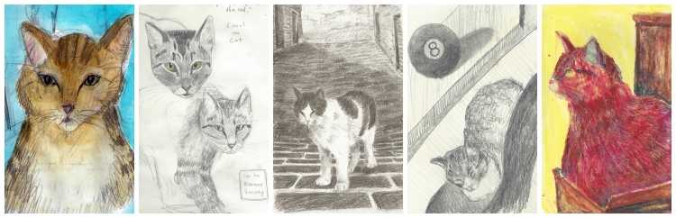 Бездомная кошка рисунок